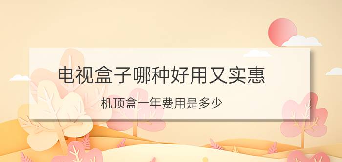 电视盒子哪种好用又实惠 机顶盒一年费用是多少？